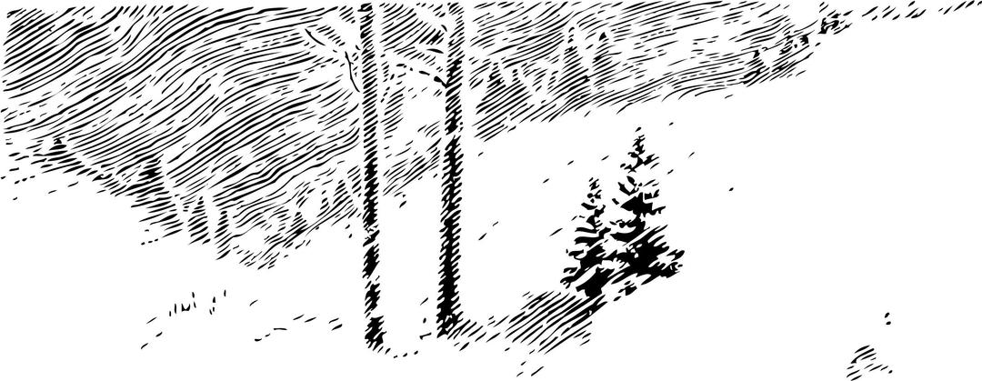 snowy trees png transparent
