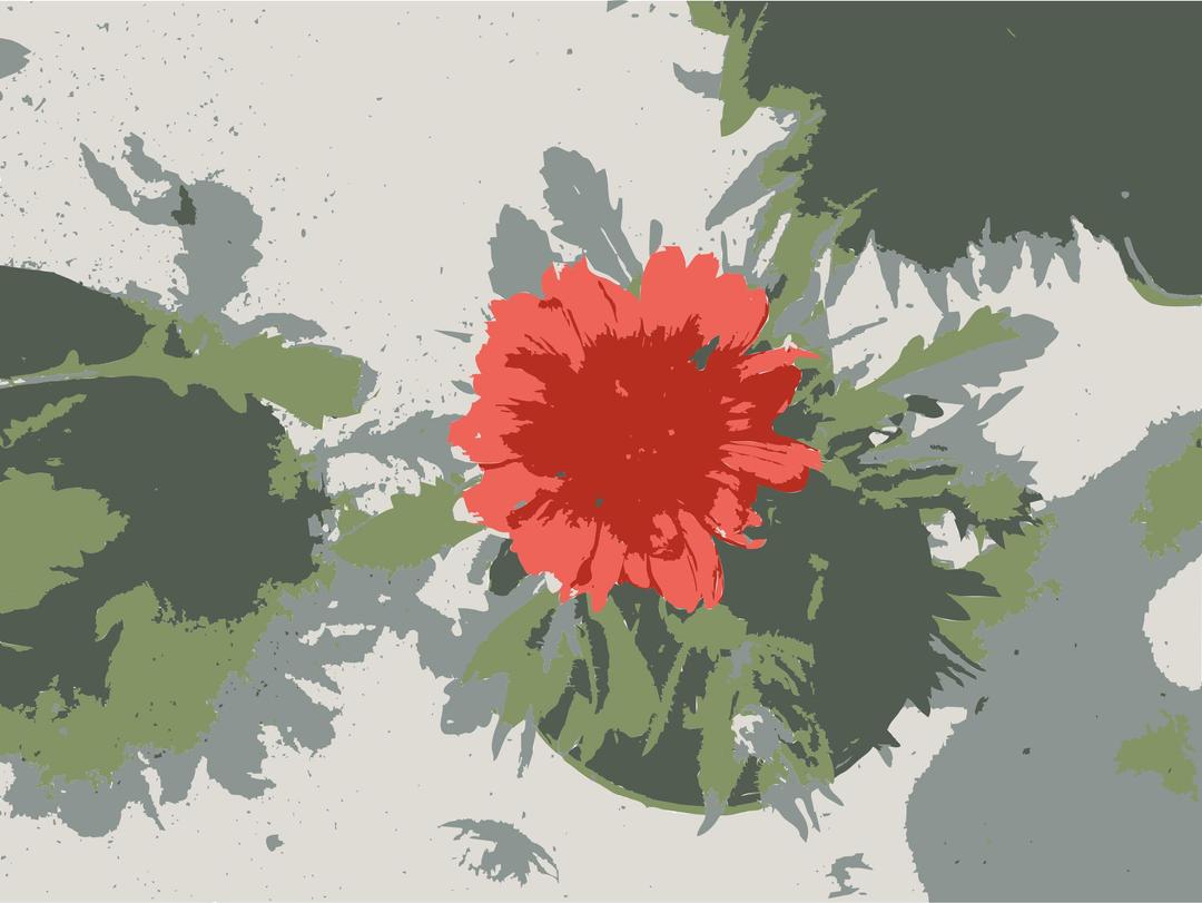 So many Missouri aiflowers flowers png transparent