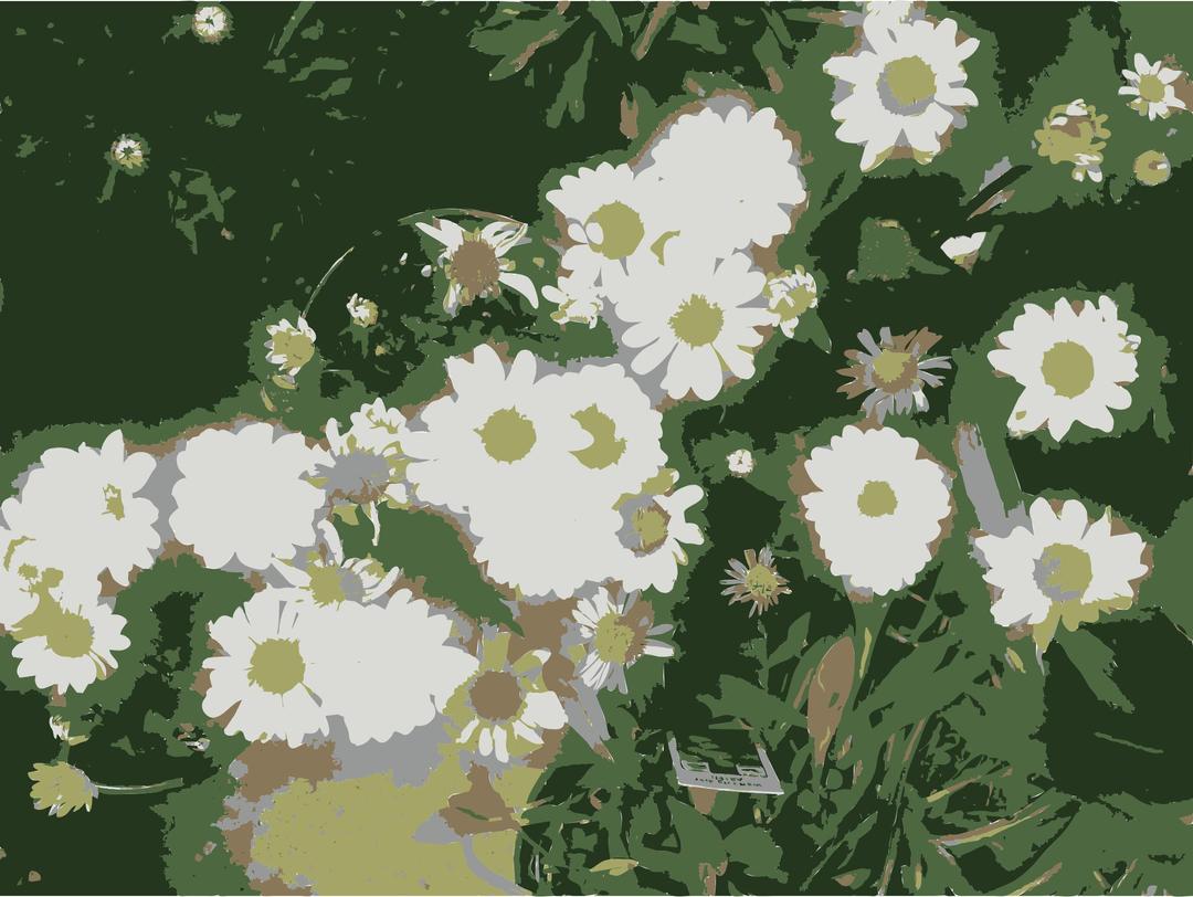 So many Missouri aiflowers flowers 1 png transparent
