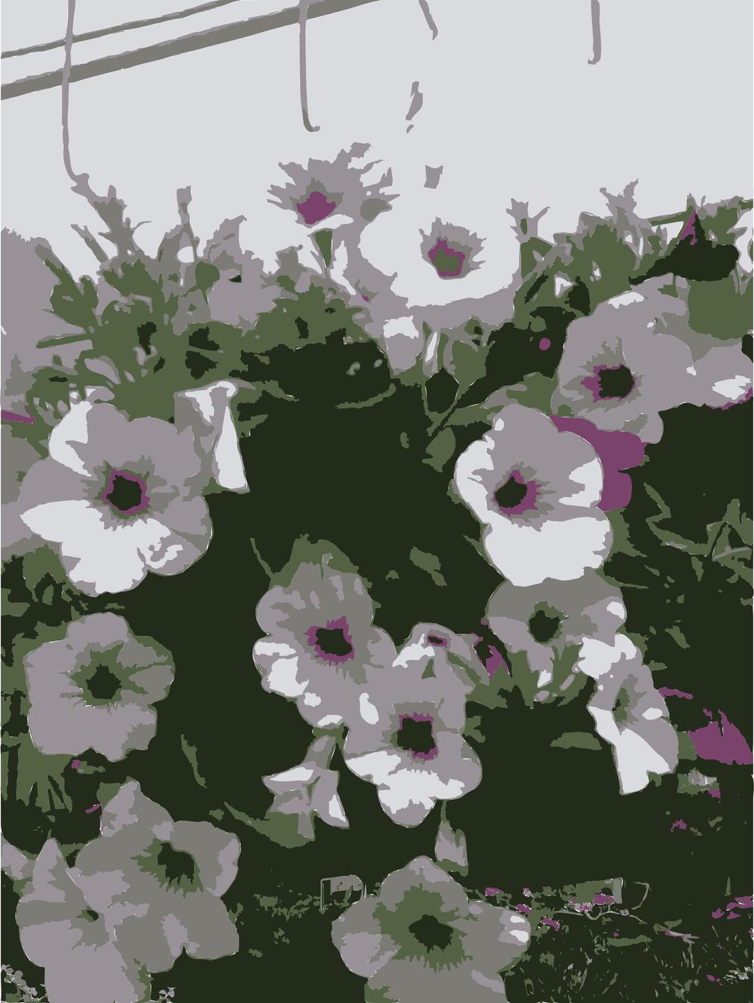 So many Missouri aiflowers flowers 3 png transparent
