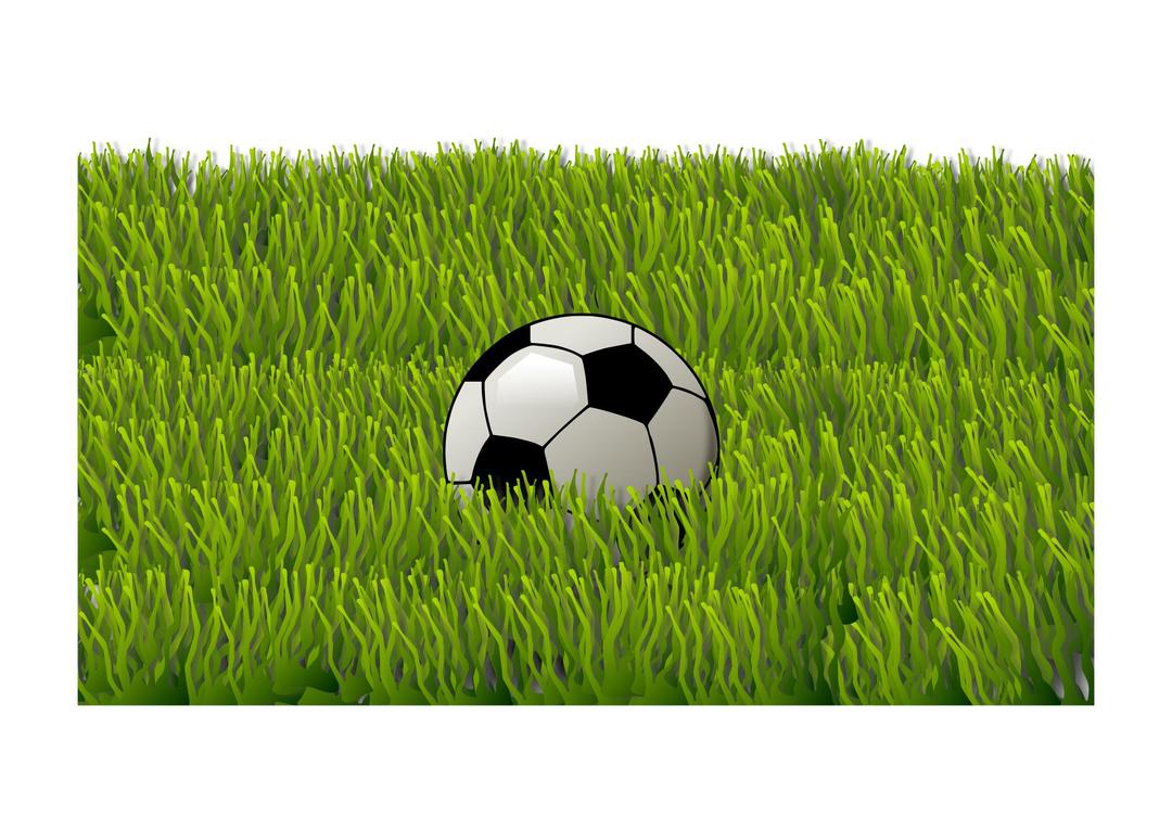 Soccer ball on grass png transparent