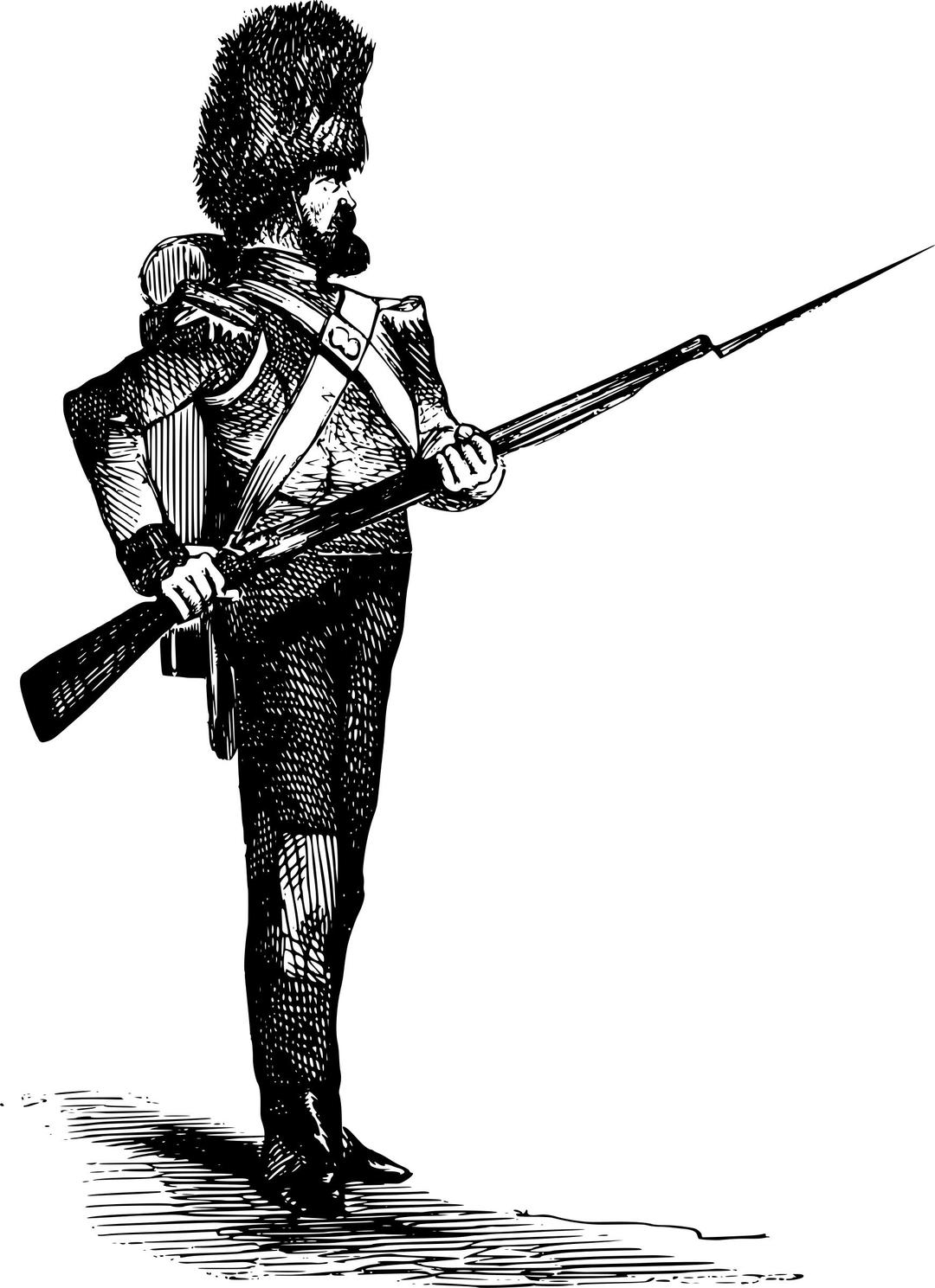 Soldier with a bearskin and a gun. png transparent