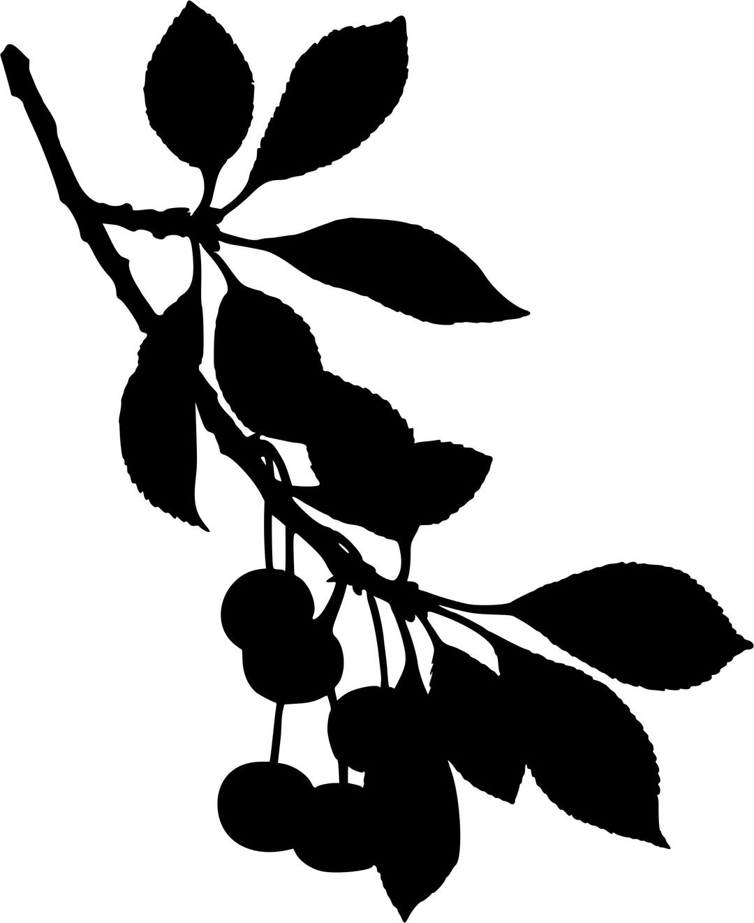 Sour cherry tree 2 (silhouette) png transparent