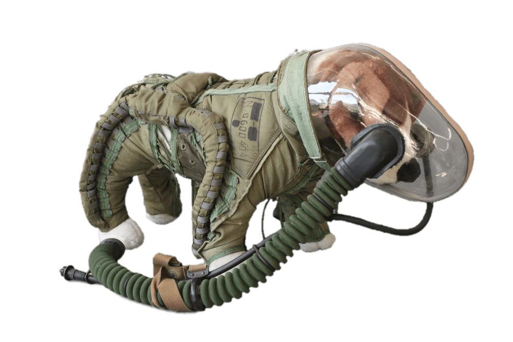 Space Suit For Dogs png transparent