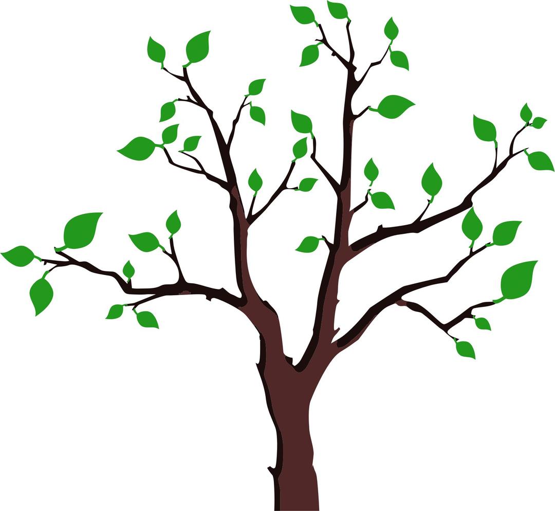 Sparse Foliage Tree png transparent
