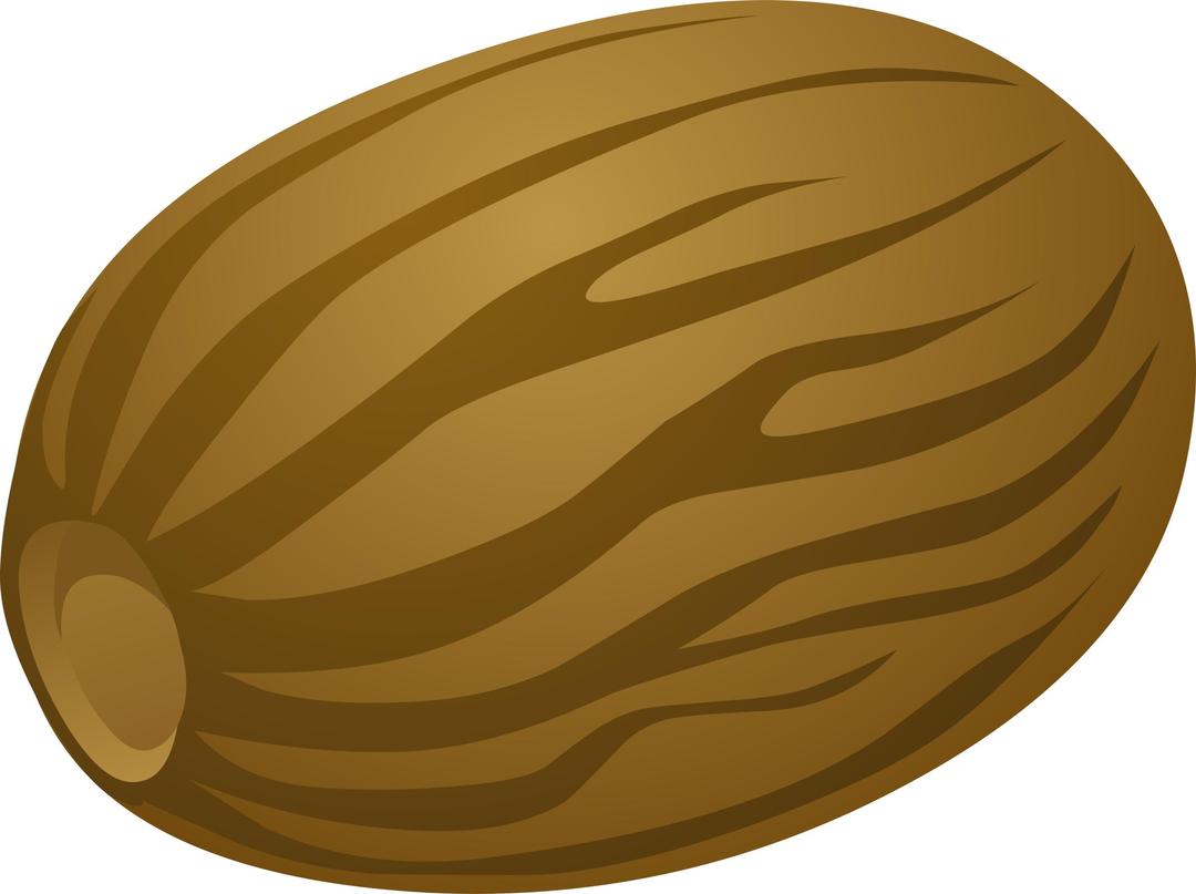 Spice Nutmeg png transparent