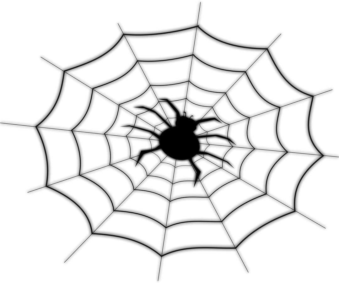 spider on spider net png transparent