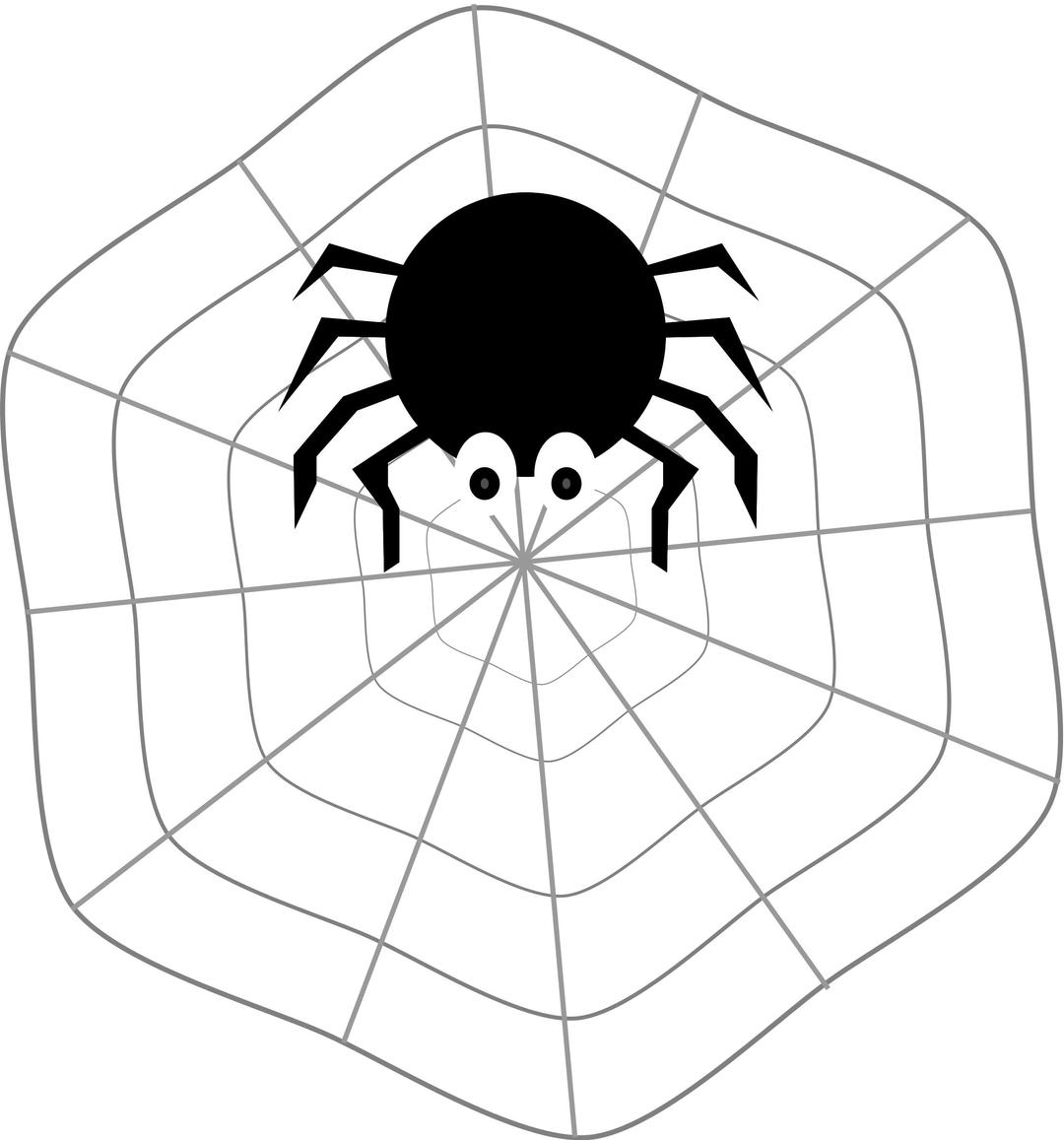 Spider on Web png transparent