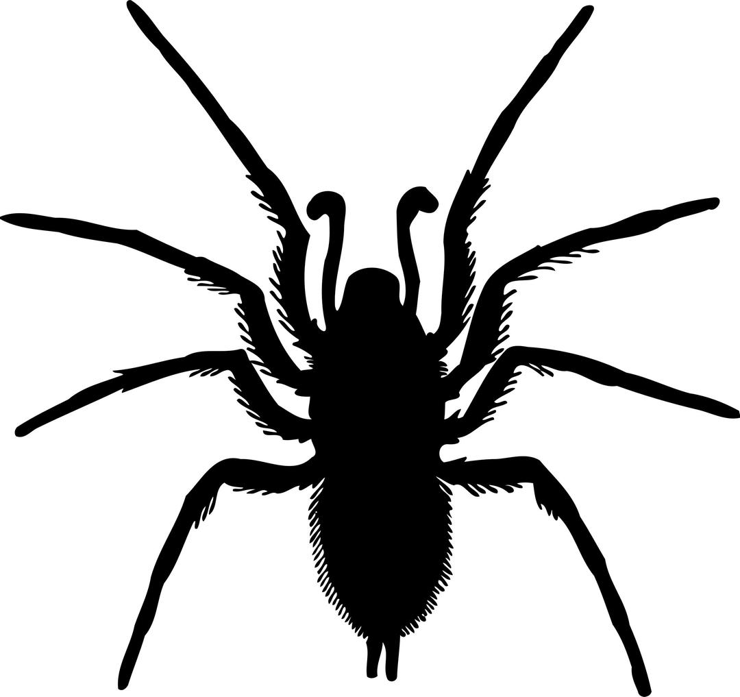 Spider silhouette png transparent