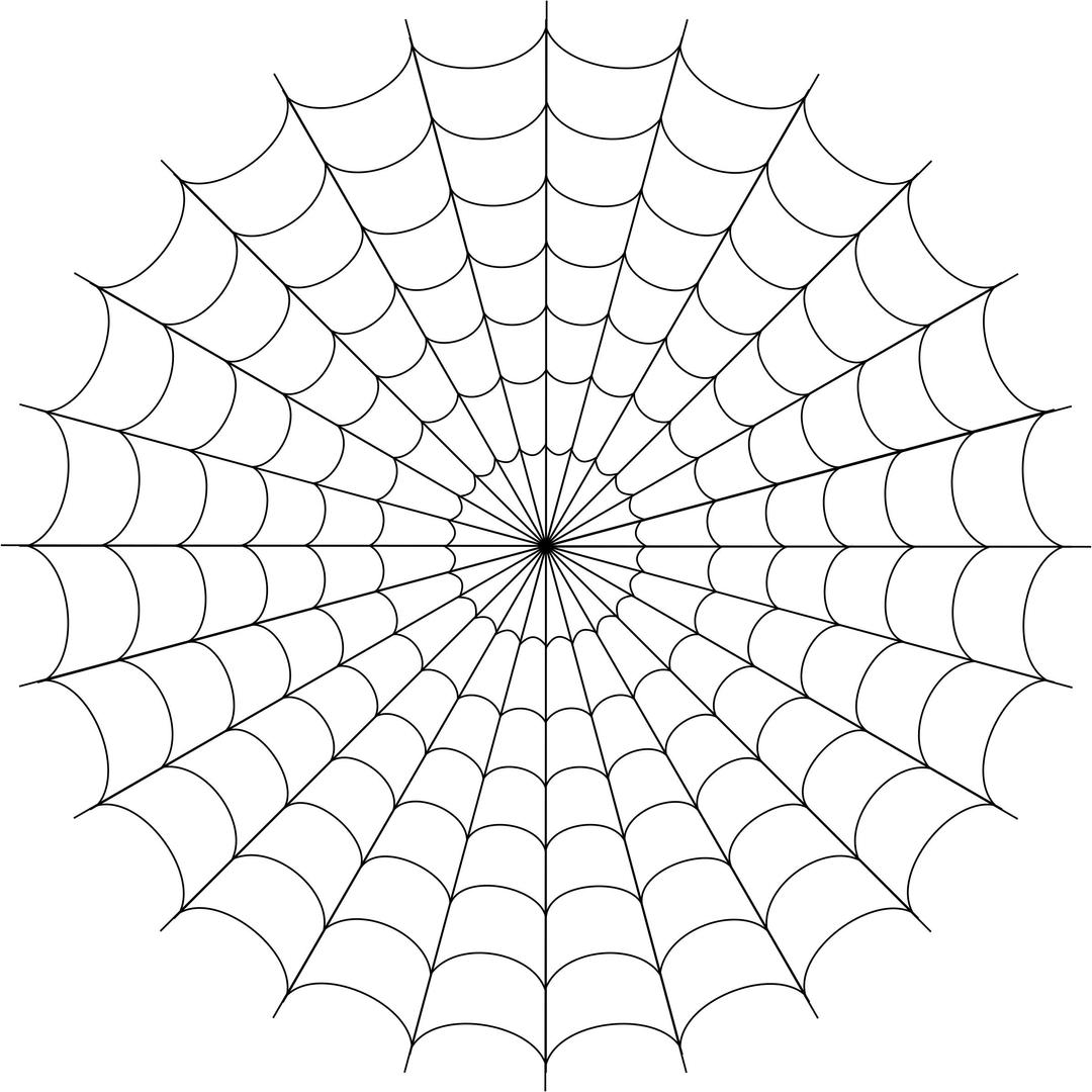 Spider web (circular) png transparent
