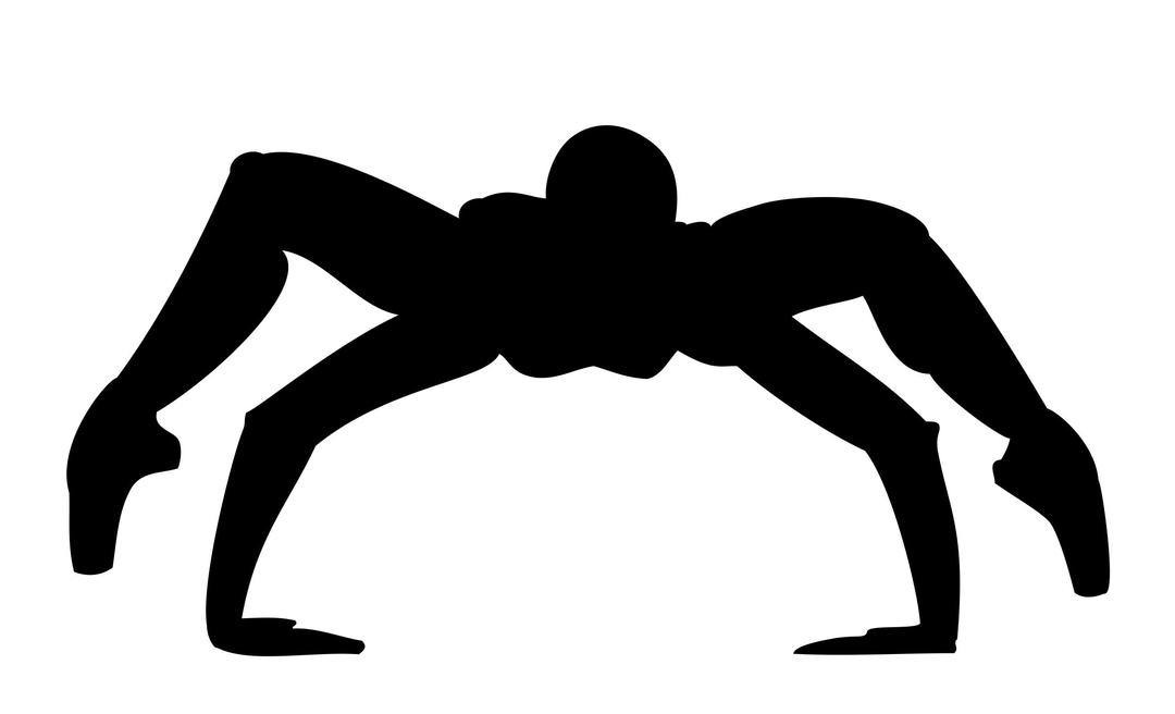 Spider woman silhouette png transparent
