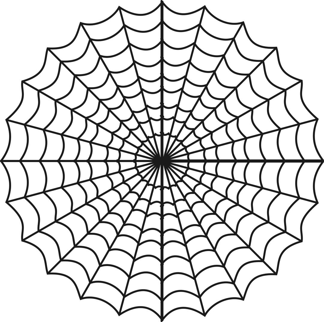 spiders web png transparent