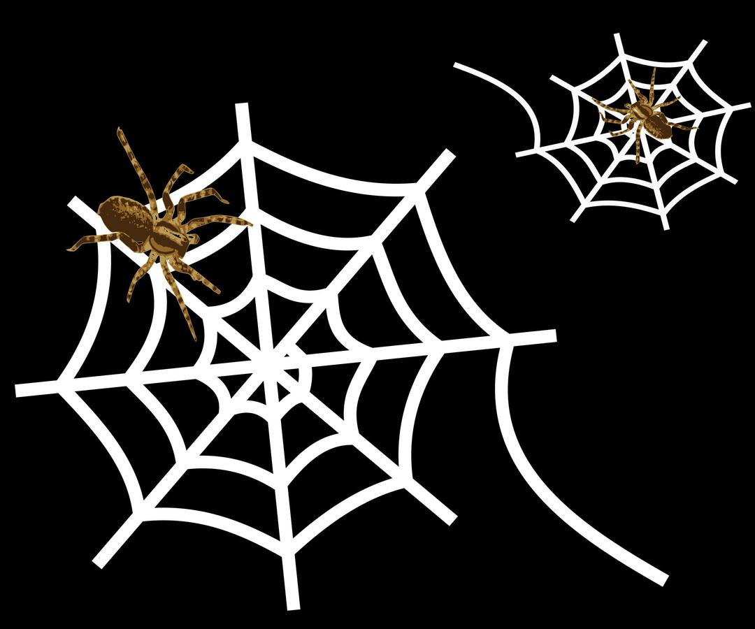 Spider-web png transparent