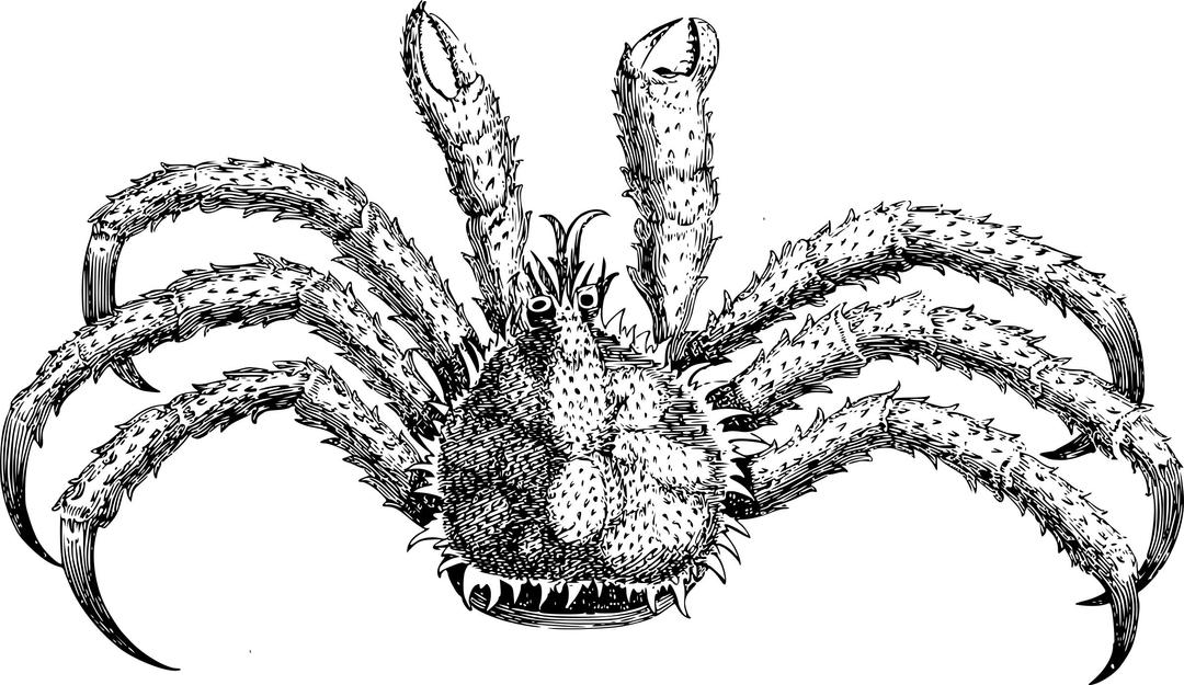 Spiky Crab png transparent