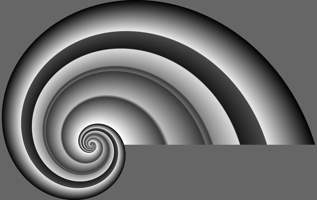 spiral base 9 png transparent