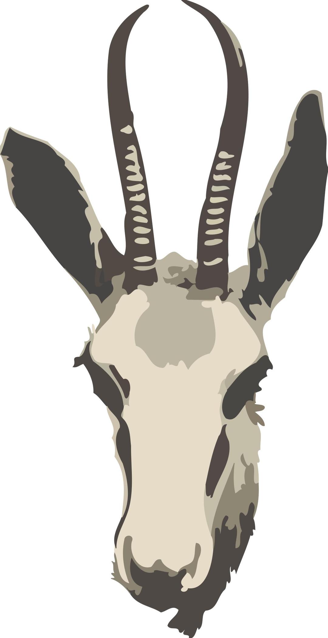 Springbok ewe's head (simplified) png transparent