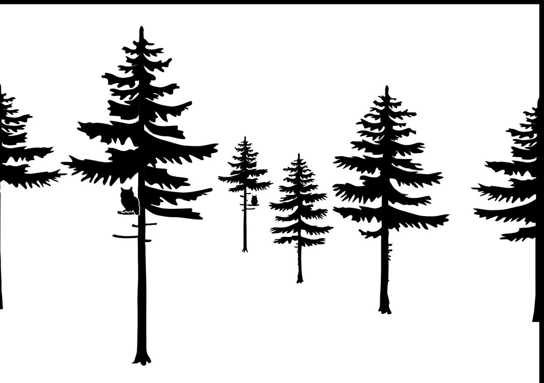 spruce trees png transparent