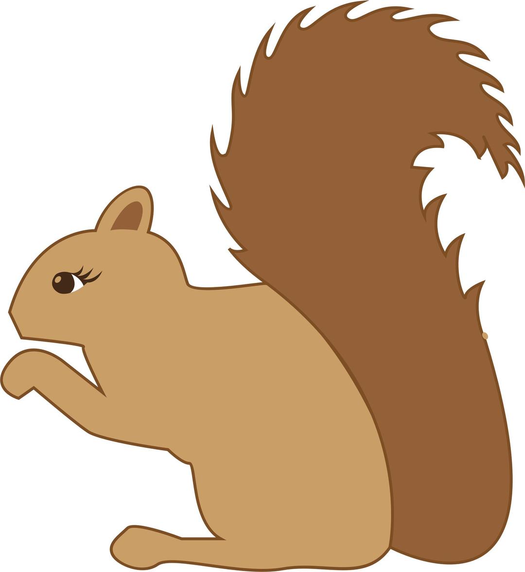Squirrel Profile png transparent