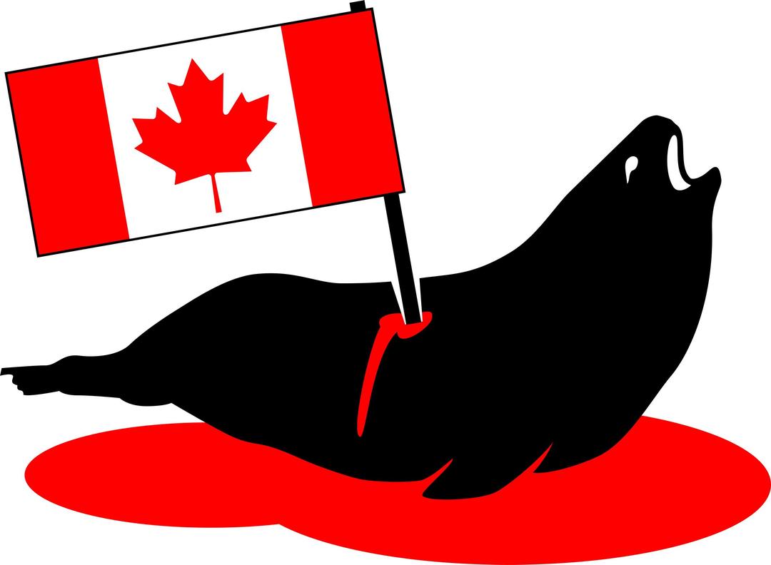 Stabbed Canadian Seal png transparent