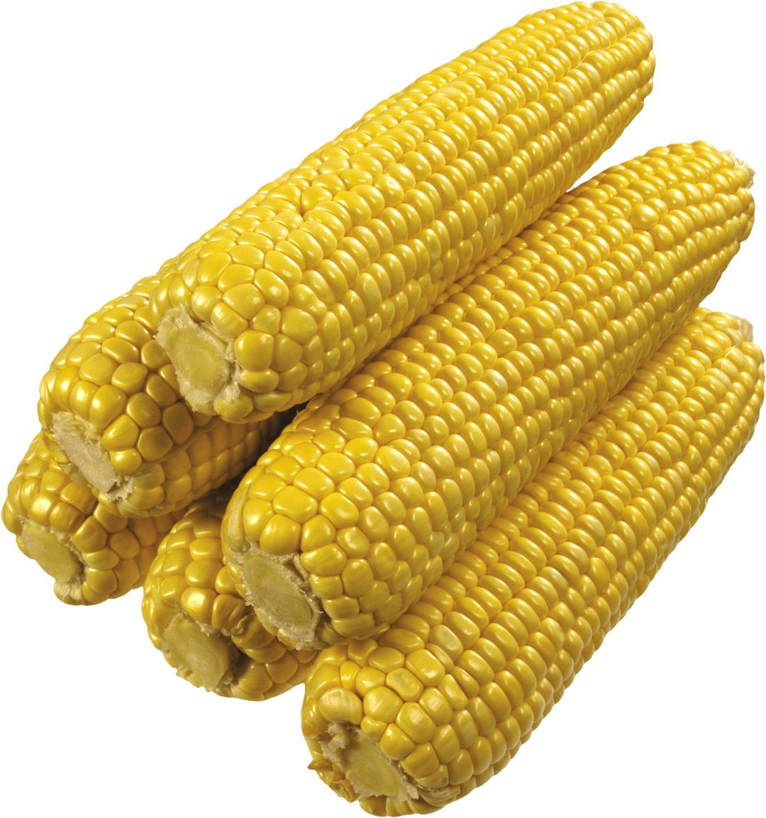 Stack Of Corns png transparent