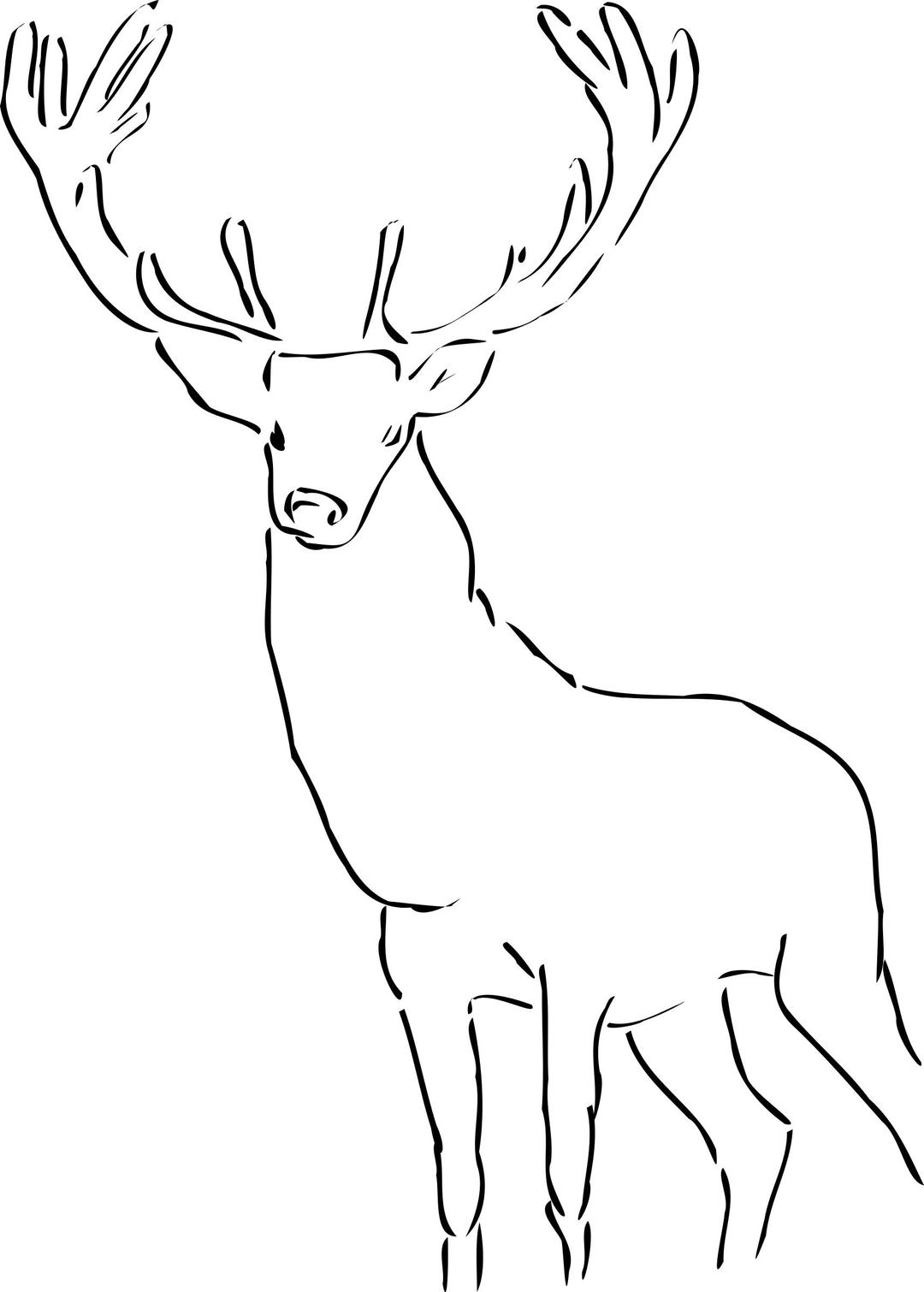 Stag png transparent