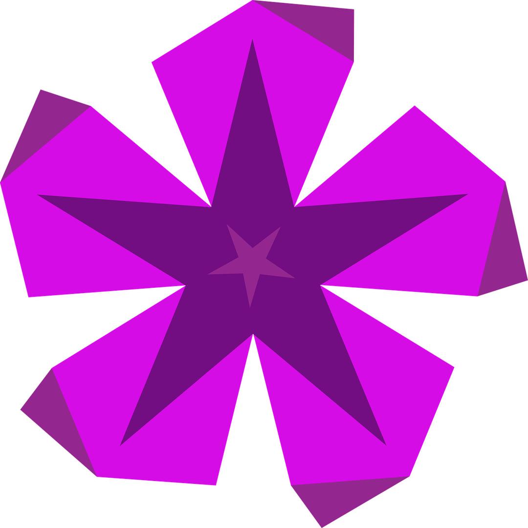 Star Purple png transparent
