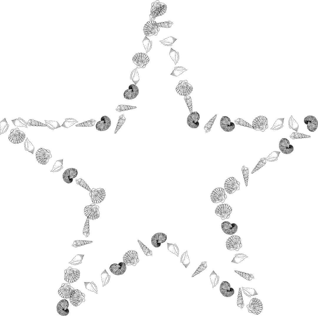 Star Shells png transparent