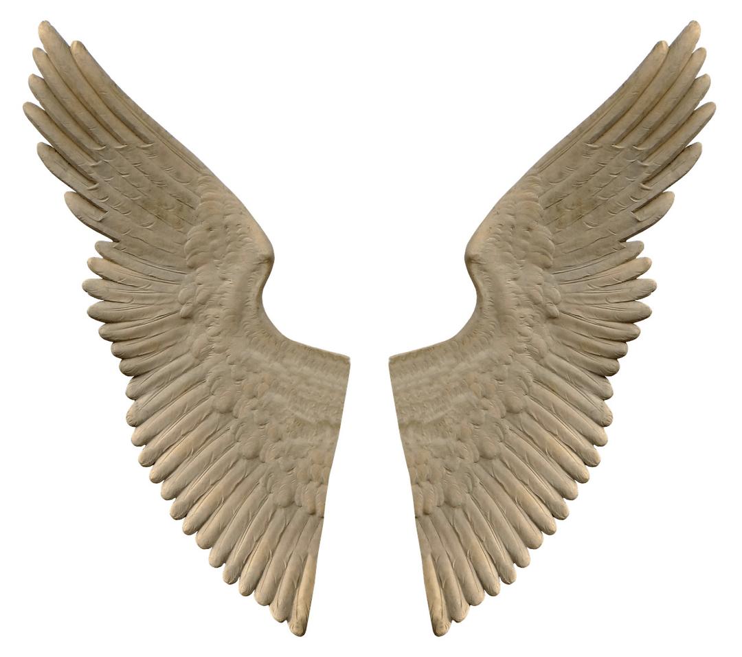 Stone Angel Wings png transparent