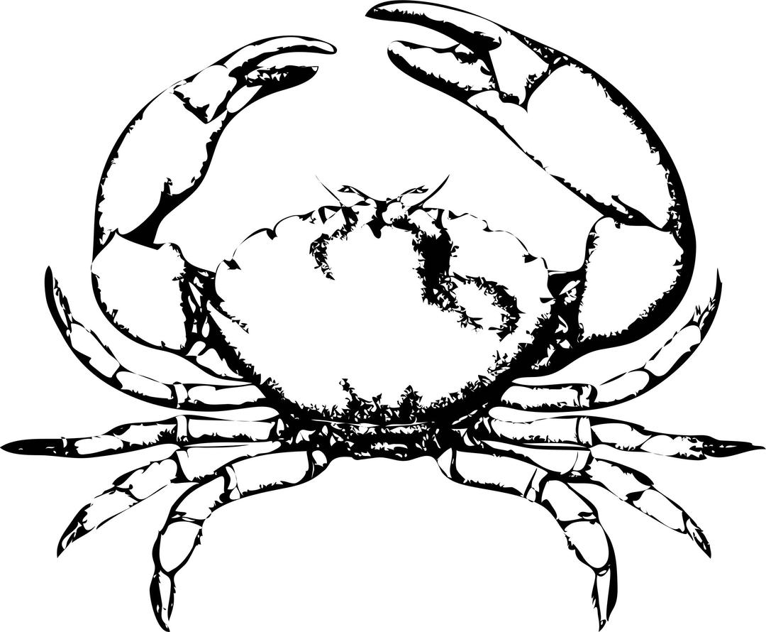 stone crab png transparent