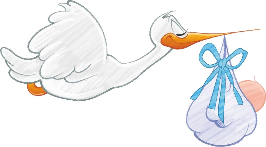 Stork Carrying Baby Boy png transparent