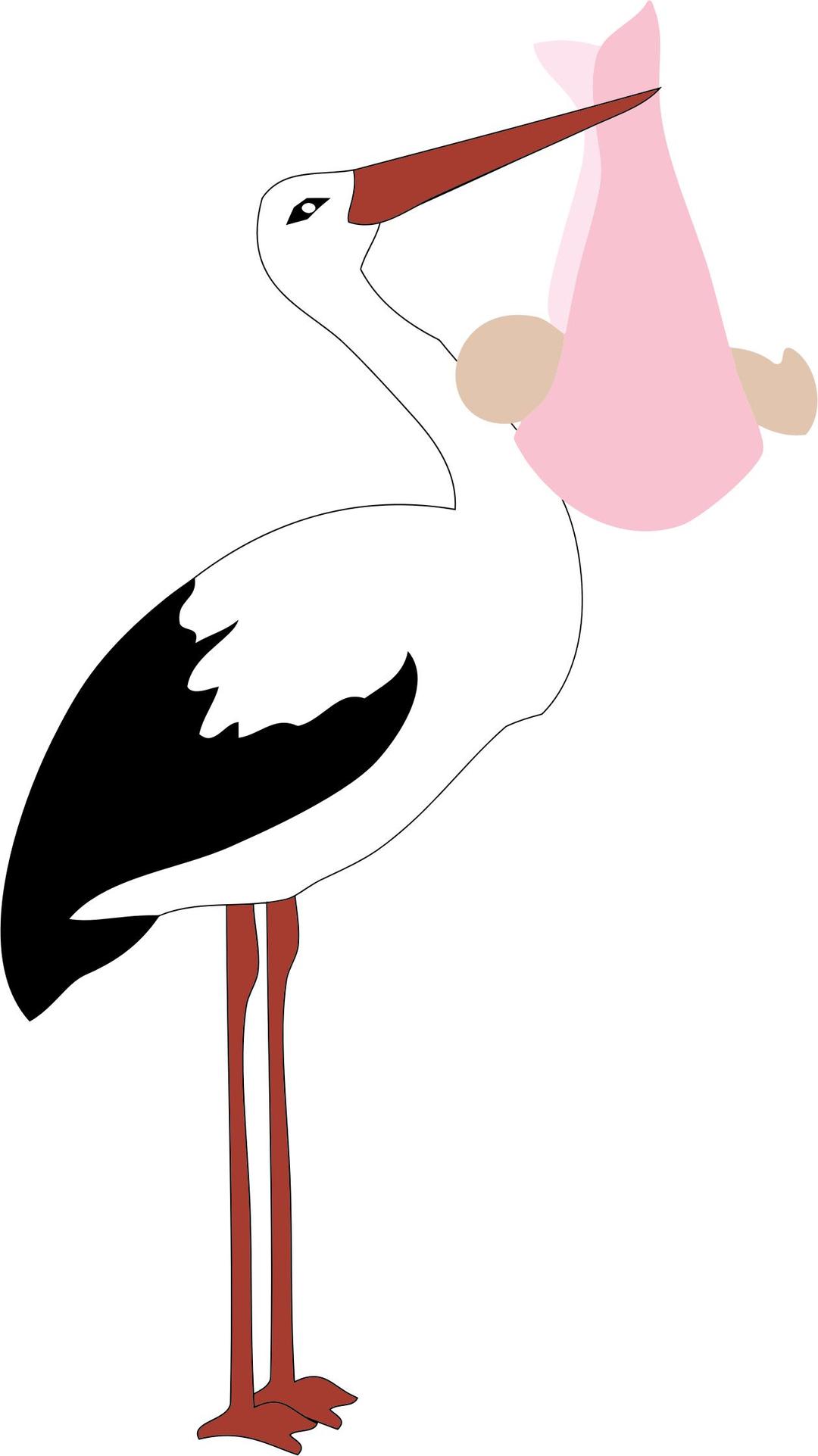 Stork Delivering Baby Girl png transparent