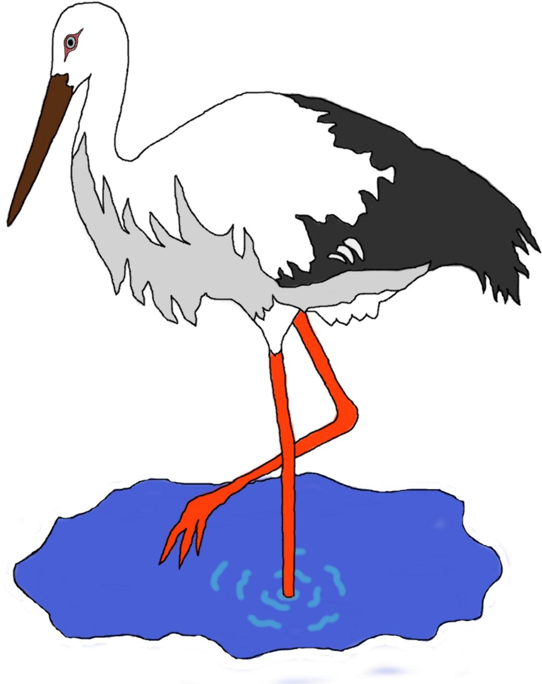 Stork in a pond png transparent