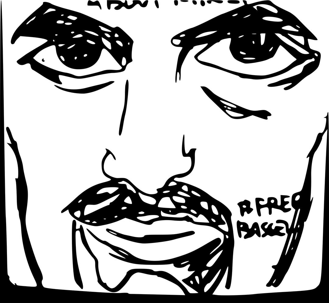 Streetart Bassel Face by Howlor png transparent