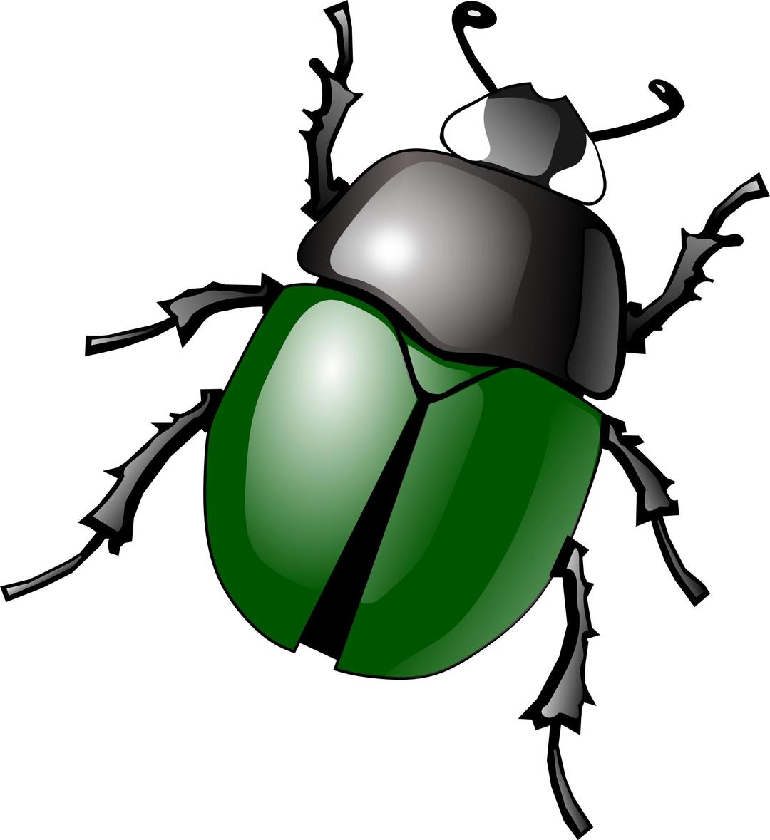stylized green beetle png transparent