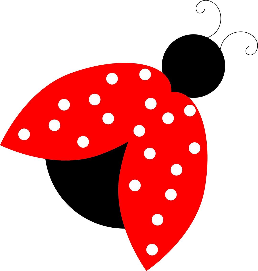 Stylized Ladybug png transparent
