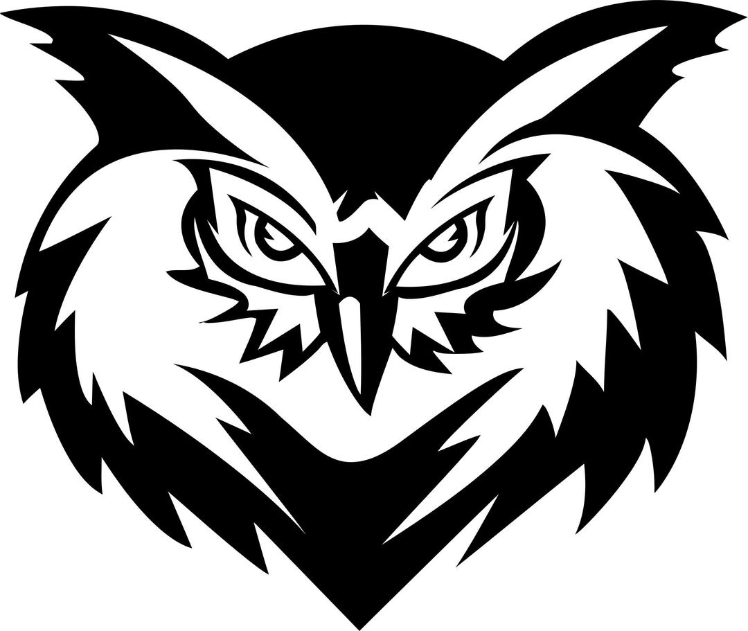 Stylized Owl Face Line Art png transparent