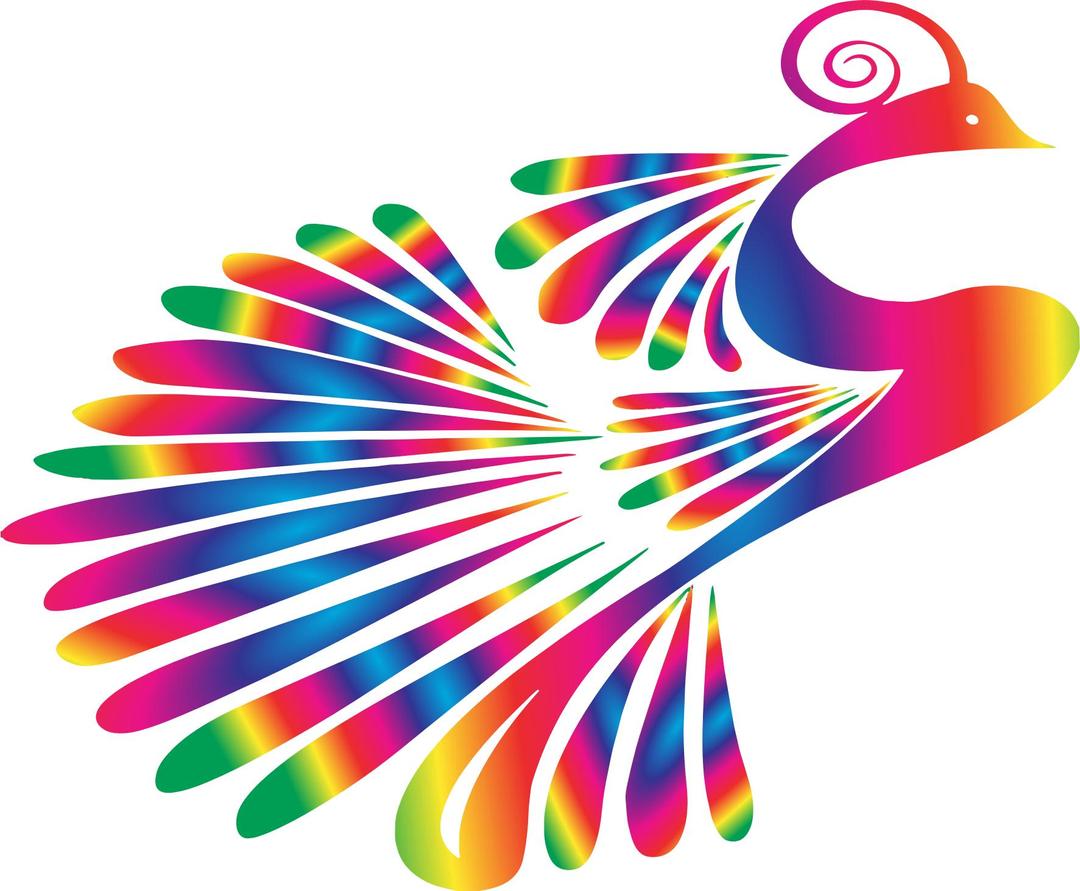 Stylized Peacock Colorful 2 png transparent