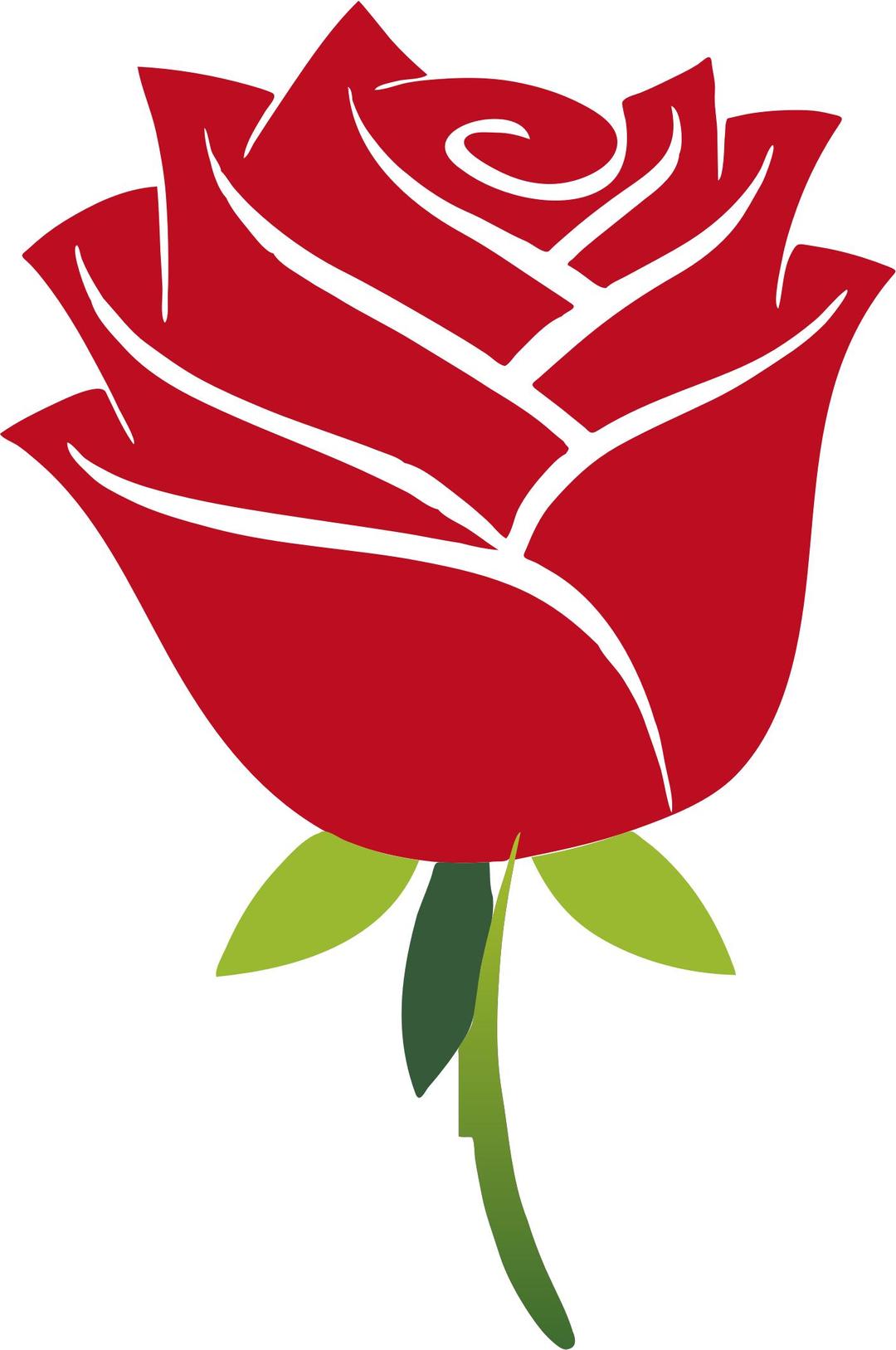 Stylized Rose No Drop Shadow png transparent