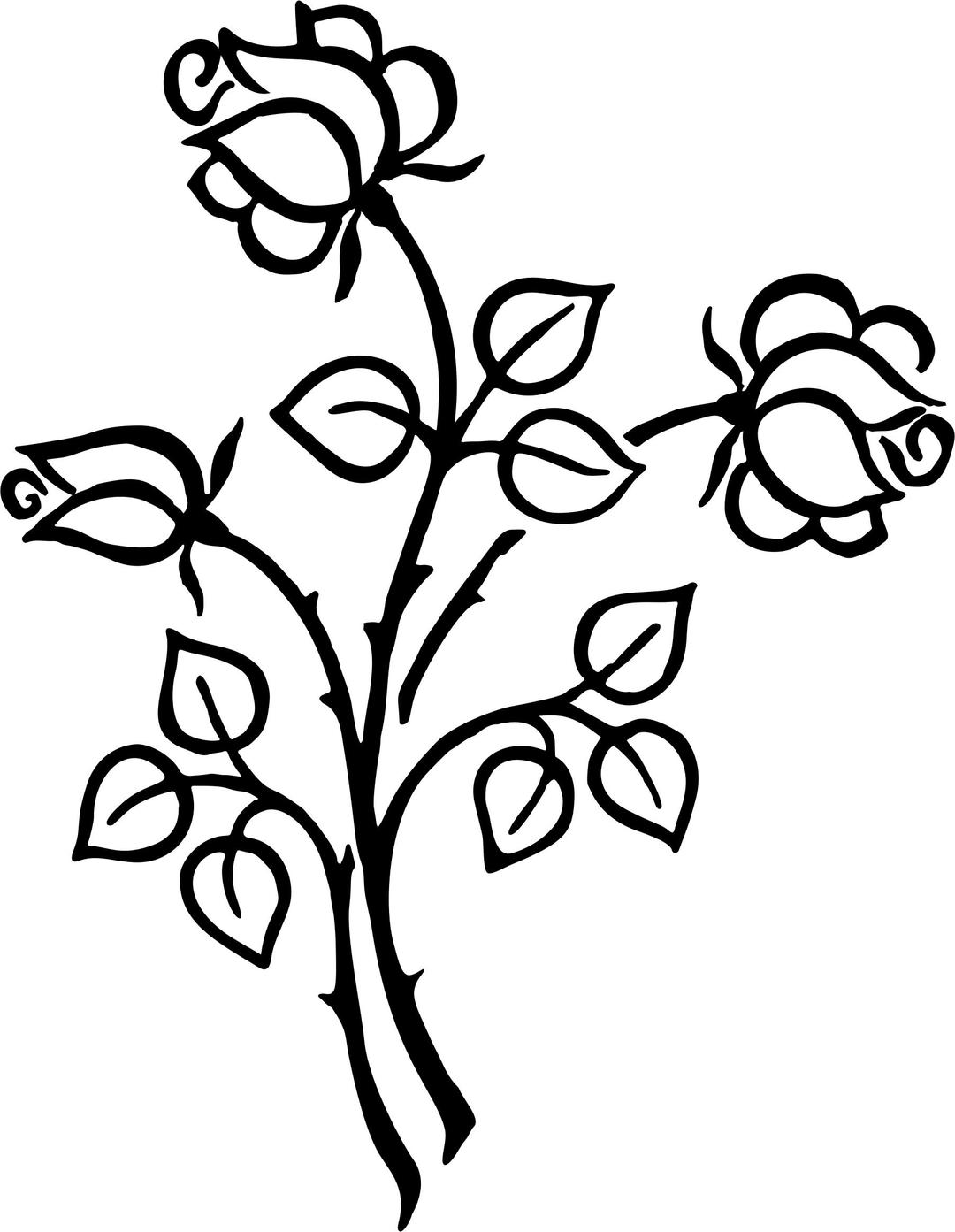 Stylized Roses Line Art png transparent