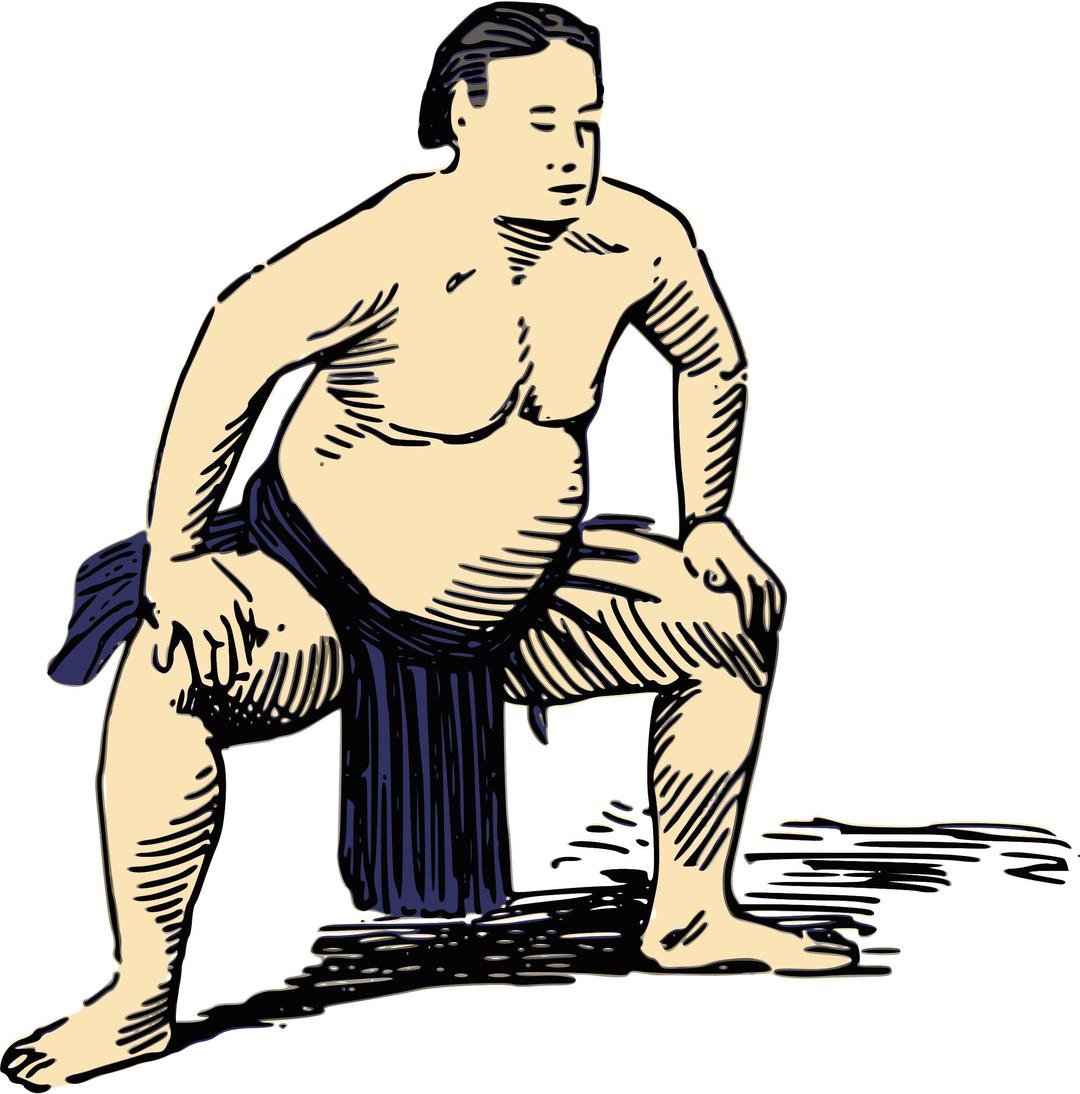 Sumo wrestler 2 png transparent