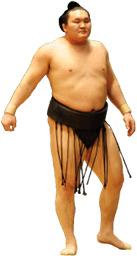 Sumo Wrestler Standing png transparent