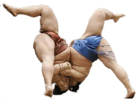 Sumo Wrestlers Upside Down png transparent