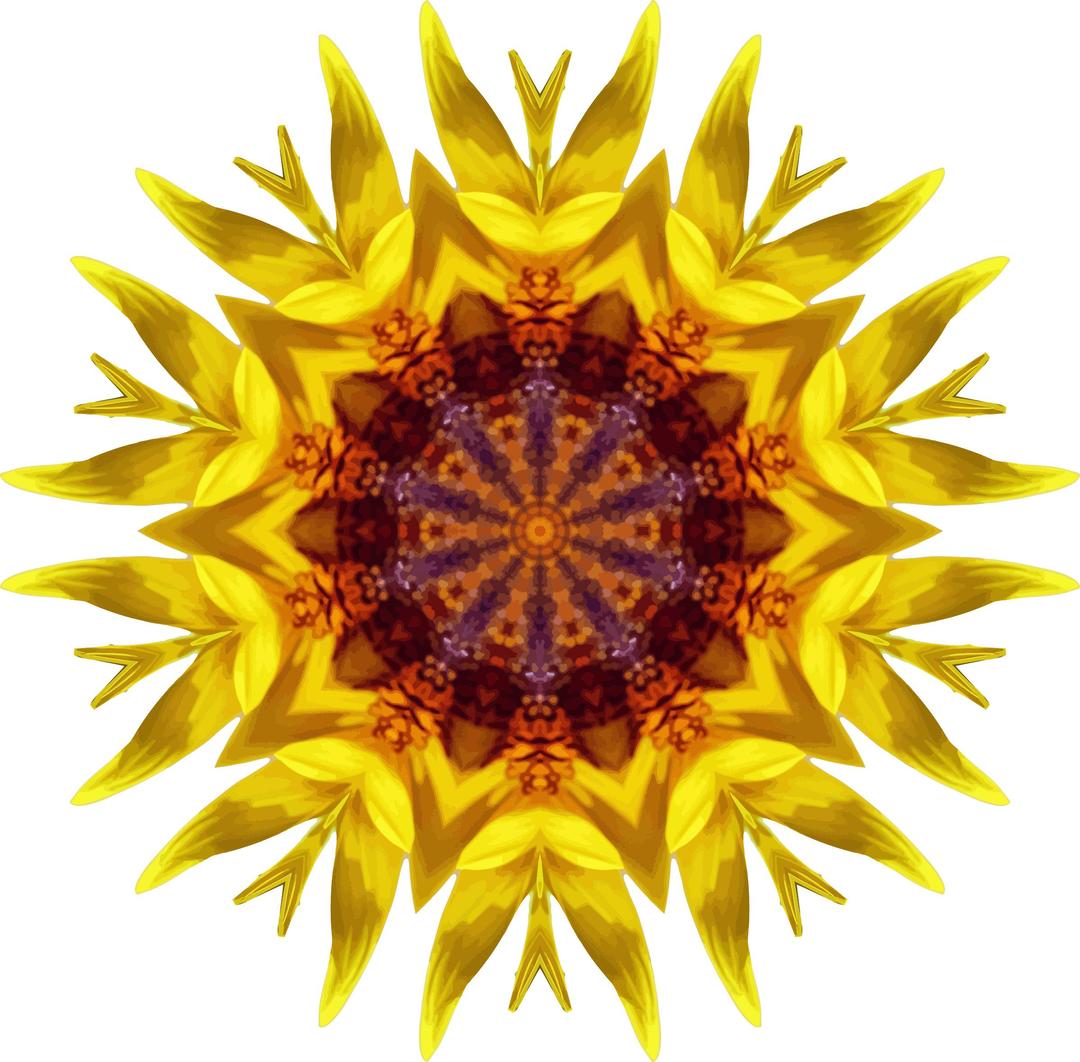 Sunflower kaleidoscope 18 png transparent