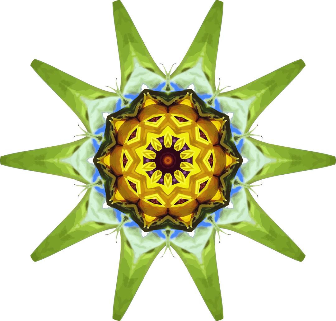 Sunflower kaleidoscope 20 png transparent
