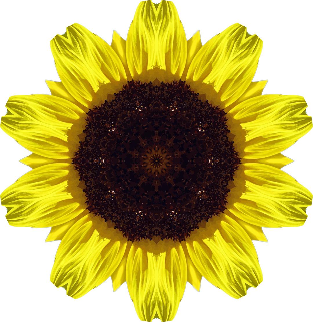 Sunflower kaleidoscope 5 png transparent