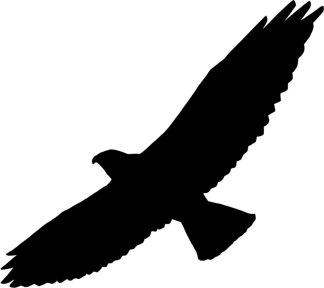 Swainson's hawk (silhouette) png transparent
