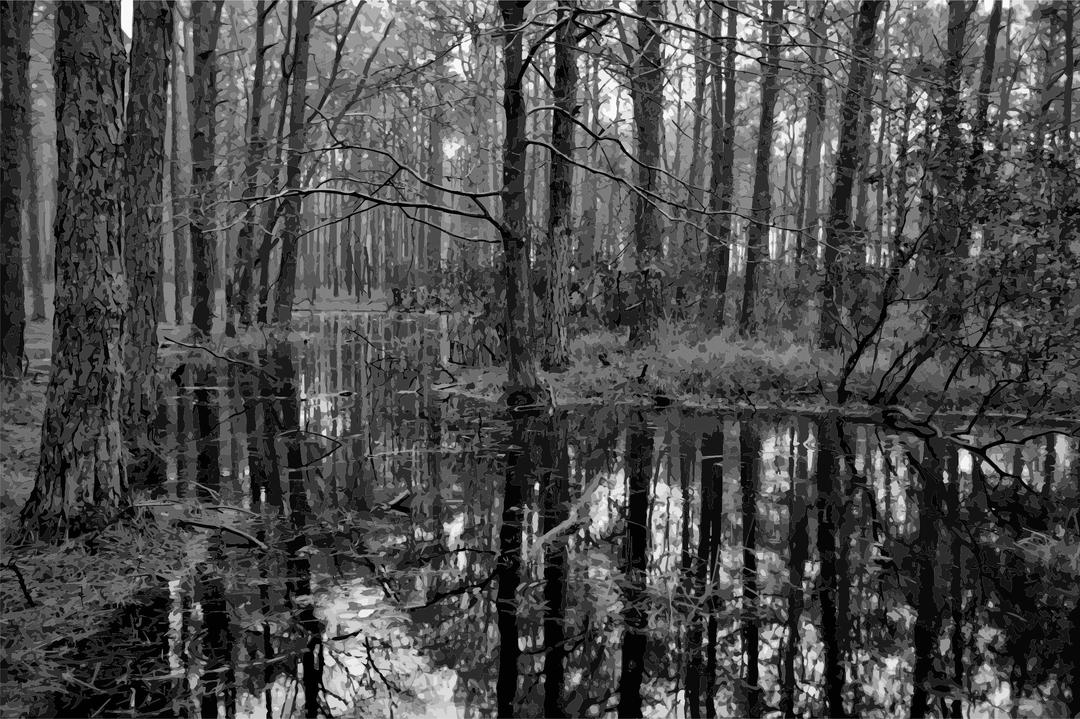 Swamp 2 Grayscale  png transparent