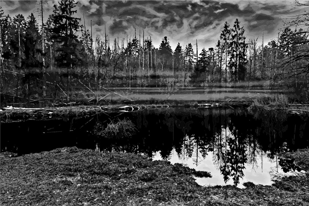 Swamp 3 Grayscale  png transparent