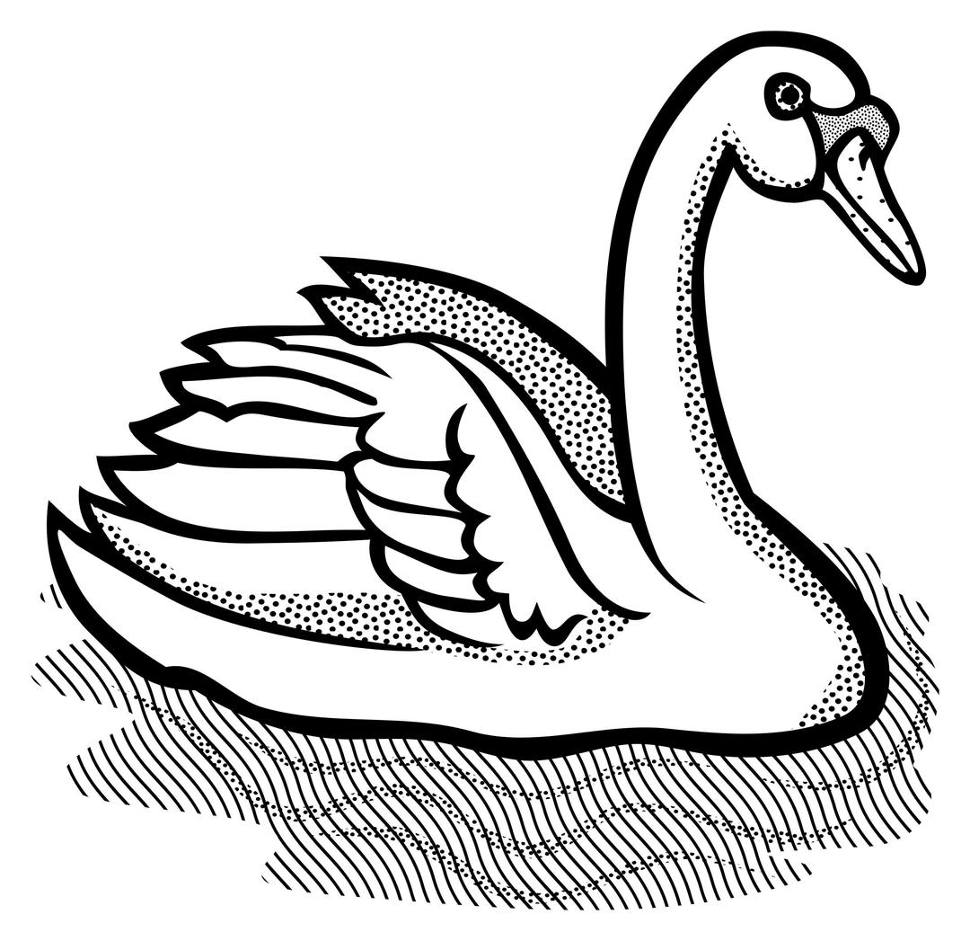 swan - lineart png transparent