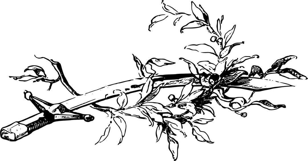 Sword and olive branch png transparent